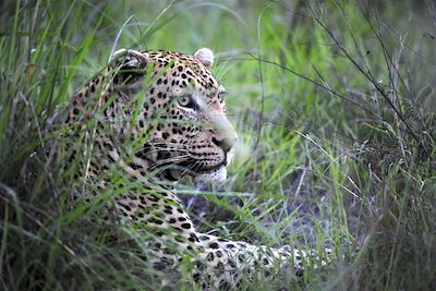 Jock Safari Lodge - Parc Kruger - Afrique du Sud