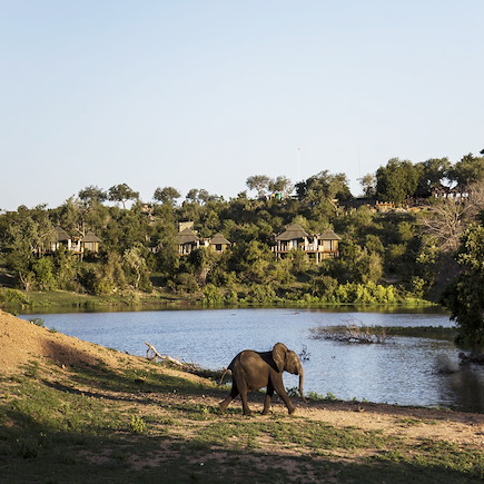 Safari à pied Afrique du Sud