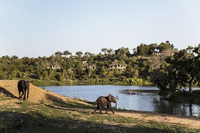 Simbavati Hilltop Lodge - Réserve Privée de Timbavati - Afrique du Sud