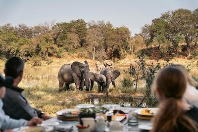 Safari à pied, vignoble et océan, du Kruger au Cap