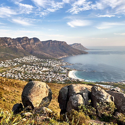 Safari Afrique du Sud Cape Town