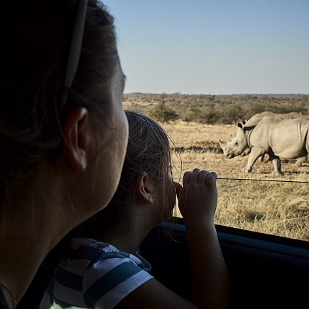 Safari Afrique du Sud Cape Town