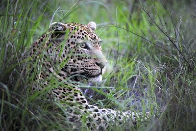 © Iky's Photographic/Jock Safari Lodge - Jock Safari Lodge - Parc Kruger - Afrique du Sud Jock Safari Lodge - Parc Kruger - Afrique du Sud