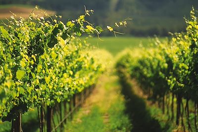 © Relais & Châteaux - Franschhoek - Afrique du Sud Franschhoek - Afrique du Sud