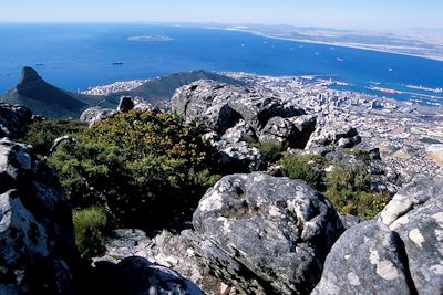 © Patrick Le Floc'h - Le Cap Le Cap