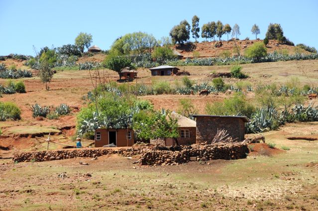 Image Du Limpopo au Cap, l'autre Afrique du Sud