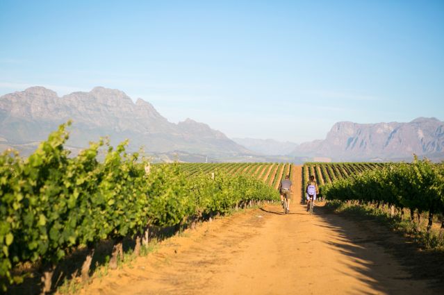 Voyage à vélo - Cape Town et la route des vins à vélo