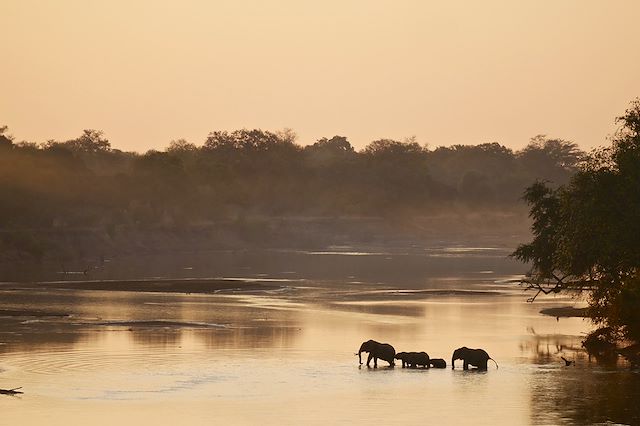 Voyage La Zambie, une nature indomptée 