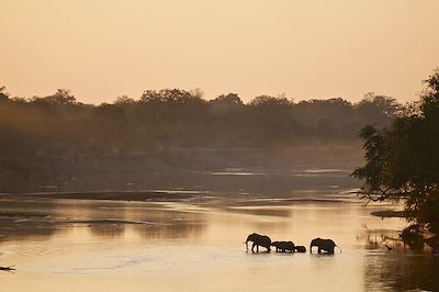 © Doctor Livingstone / Adobe Stock - Parc national de South Luangwa - Zambie Parc national de South Luangwa - Zambie