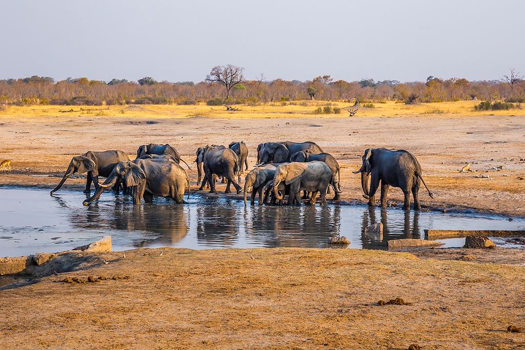 Voyage Sur le toit du monde des Matopos à Hwange 2