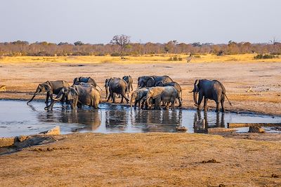 Voyage Sur le toit du monde des Matopos à Hwange 2