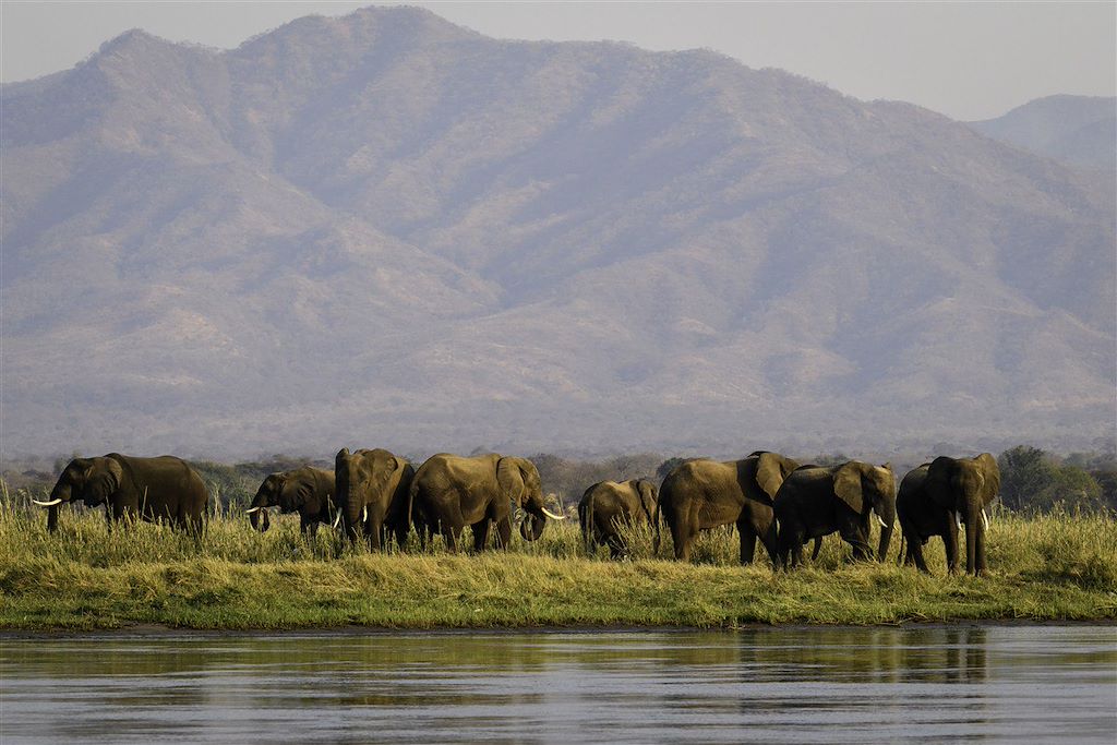Voyage Zimbabwe