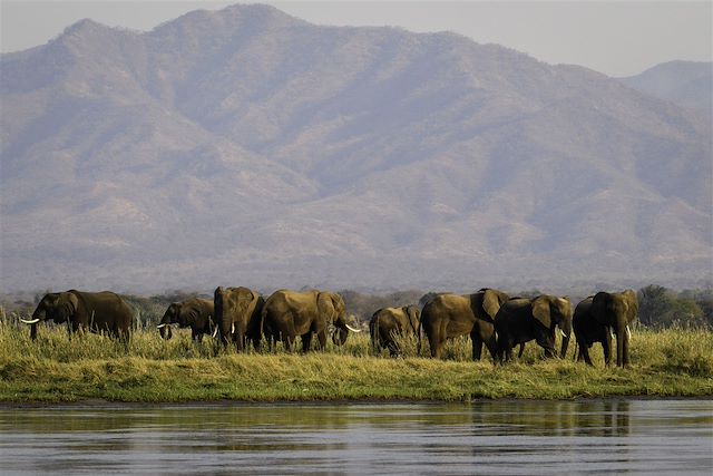 Voyage Des chutes du Zambèze à Mana Pools