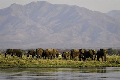 Des chutes du Zambèze à Mana Pools