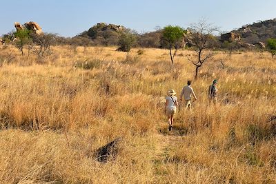 © RIEGER Bertrand / hemis.fr - Safari à pied - Matobo Hills - Zimbabwe Safari à pied - Matobo Hills - Zimbabwe