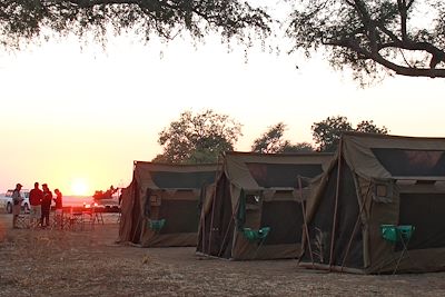 Safari au Zimbabwe