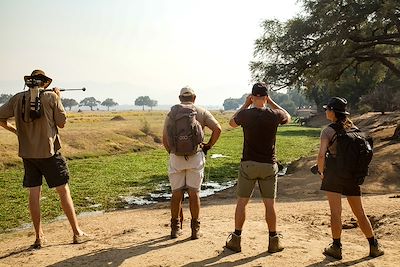 © Kelly-Anne Tavares - Safari au Zimbabwe Safari au Zimbabwe