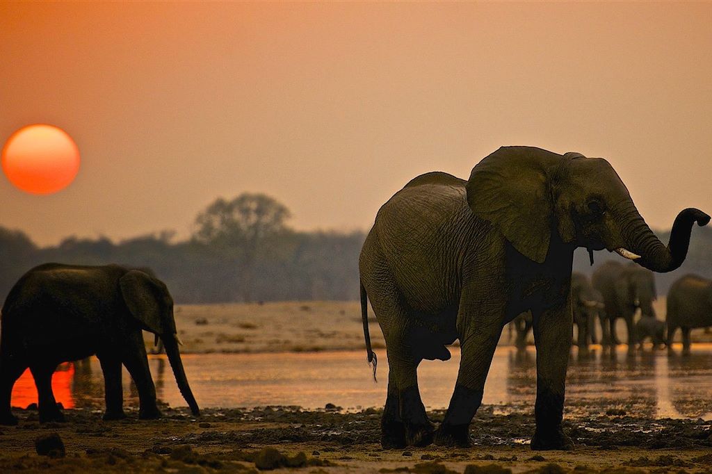 Voyage Safari au Zimbabwe, perle de l'Afrique australe 1