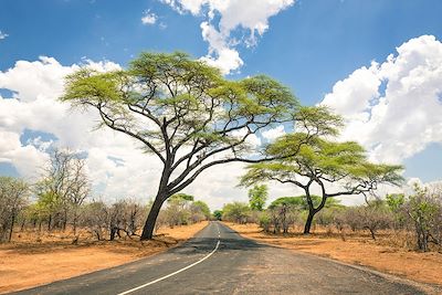 Route au Zimbabwe