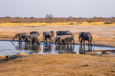 Voyage Croisière Safari et Chutes du Zambèze 2