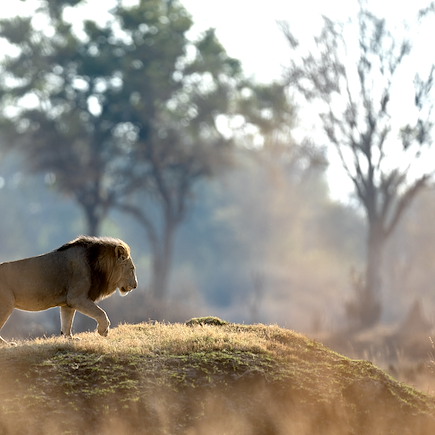 Kayak et canoë Zimbabwe