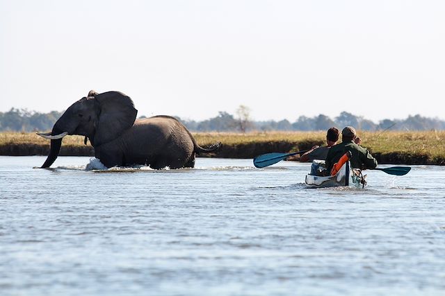 Voyage Au fil du Zambèze, safari en canoë, Mana Pools
