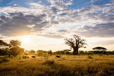Singita Pamushana Lodge - Buffalo Range - Zimbabwe