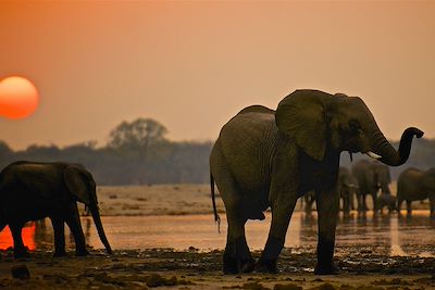 Bomani Tented Lodge - Hwange - Zimbabwe