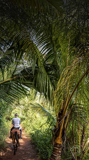 Voyage Cuba