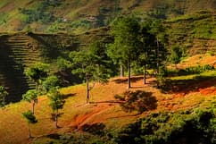 Haïti