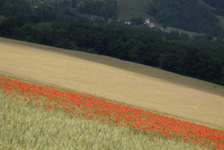 Le développement durable et le tourisme d'aventure Le développement durable et le tourisme d'aventure