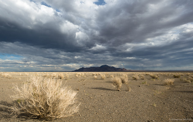 D�sert de Gobi : terre d'extr�mes D�sert de Gobi : terre d'extr�mes