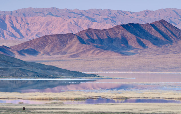 D�sert de Gobi : terre d'extr�mes D�sert de Gobi : terre d'extr�mes