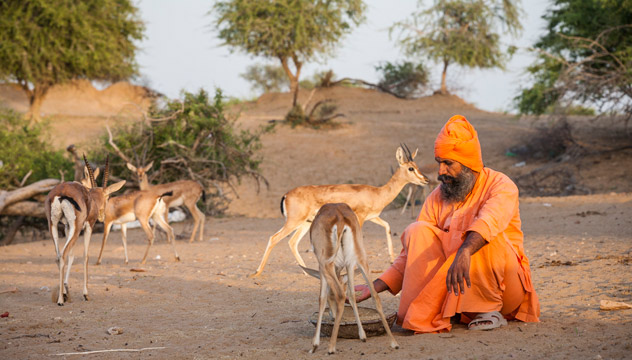 Rajasthan, l'âme d'un prophète Rajasthan, l'âme d'un prophète