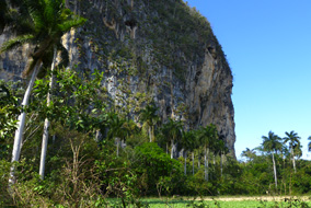 Petzl Roc Trip Cuba