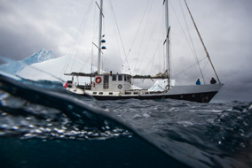 Mission Antarctic
