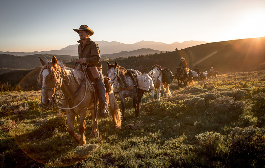 Unbranded