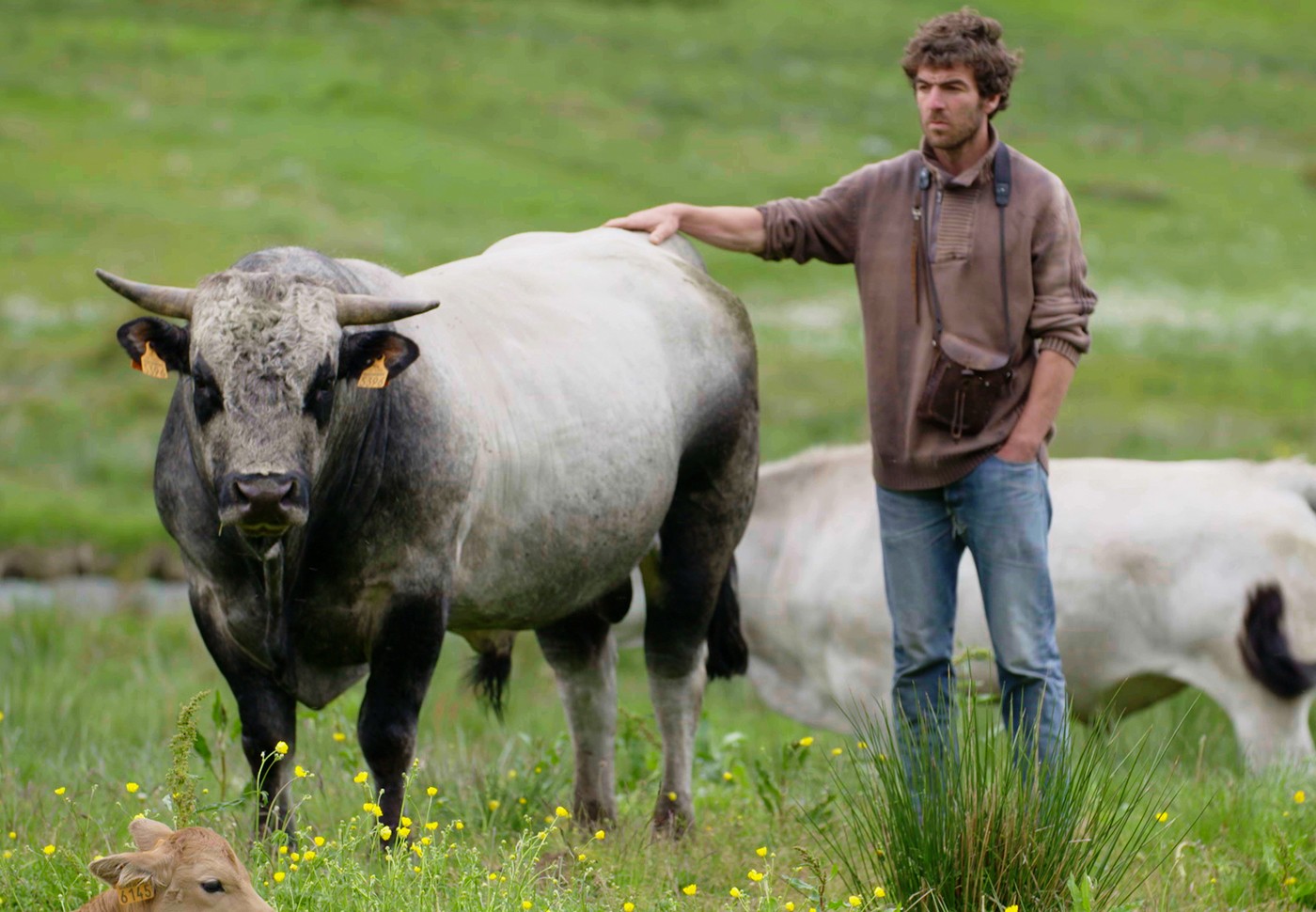 Brice Un Vacher à L'assaut Des Pyrénées Brice, le vacher à l'assaut des Pyrénées - Festival objectif aventure 2019
