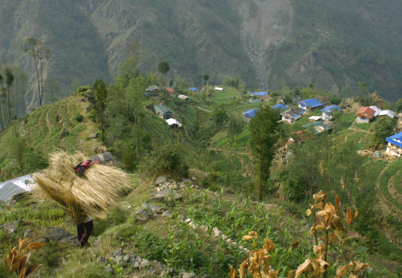 The Last Honey Hunter