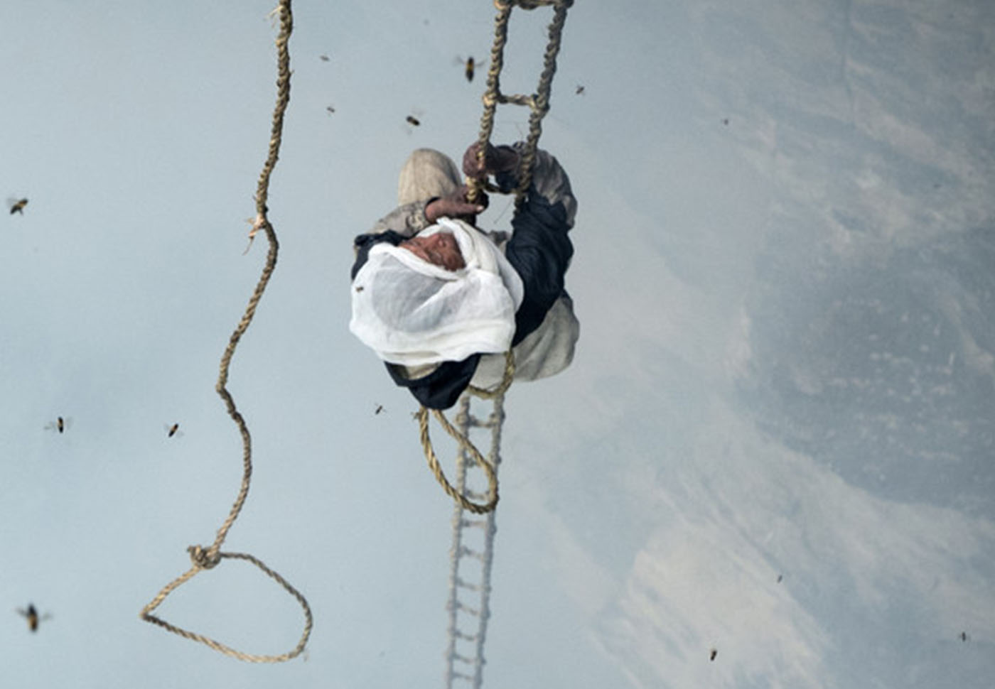 The Last Honey Hunter