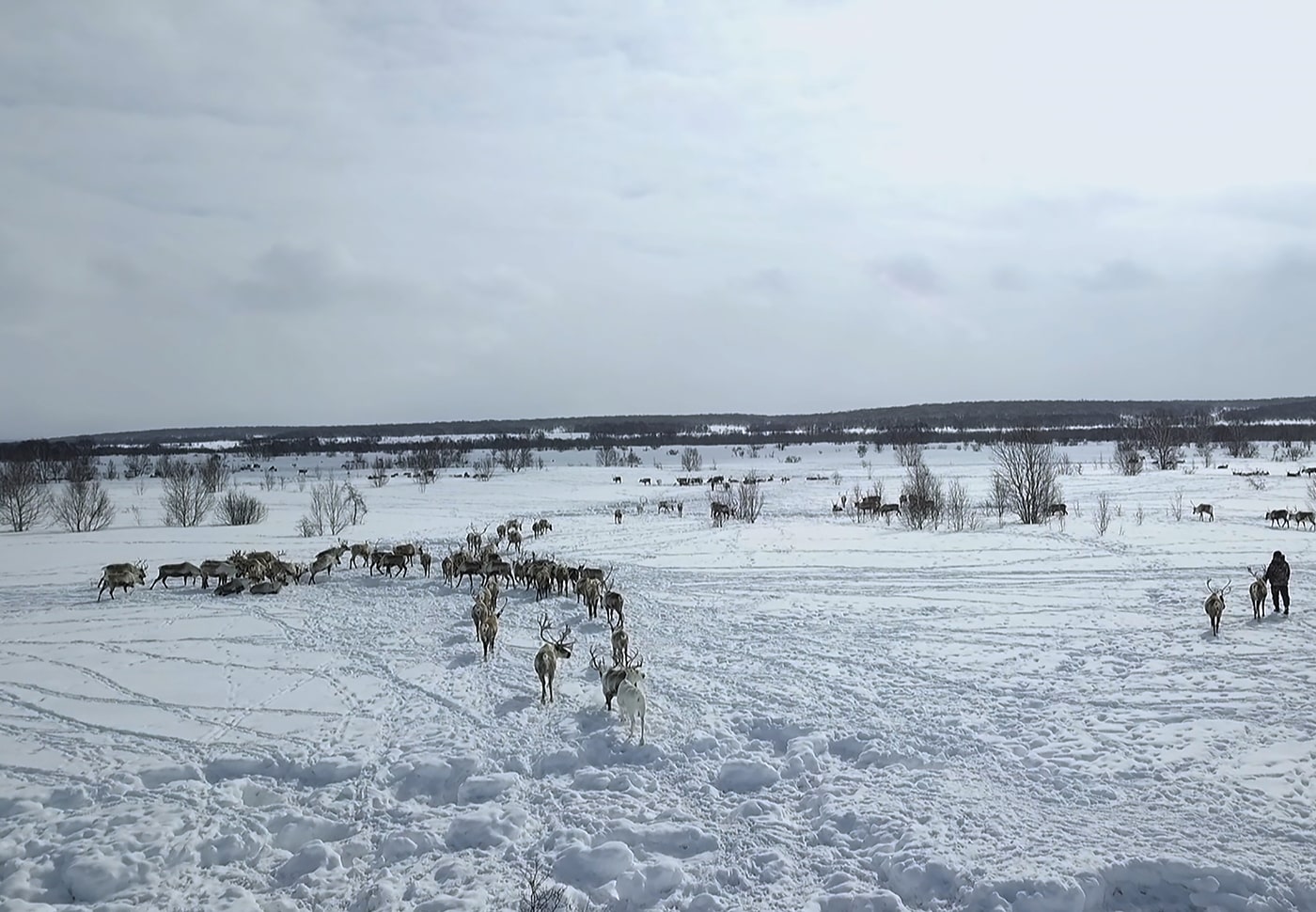 Kamtchatka, un hiver en pays évène