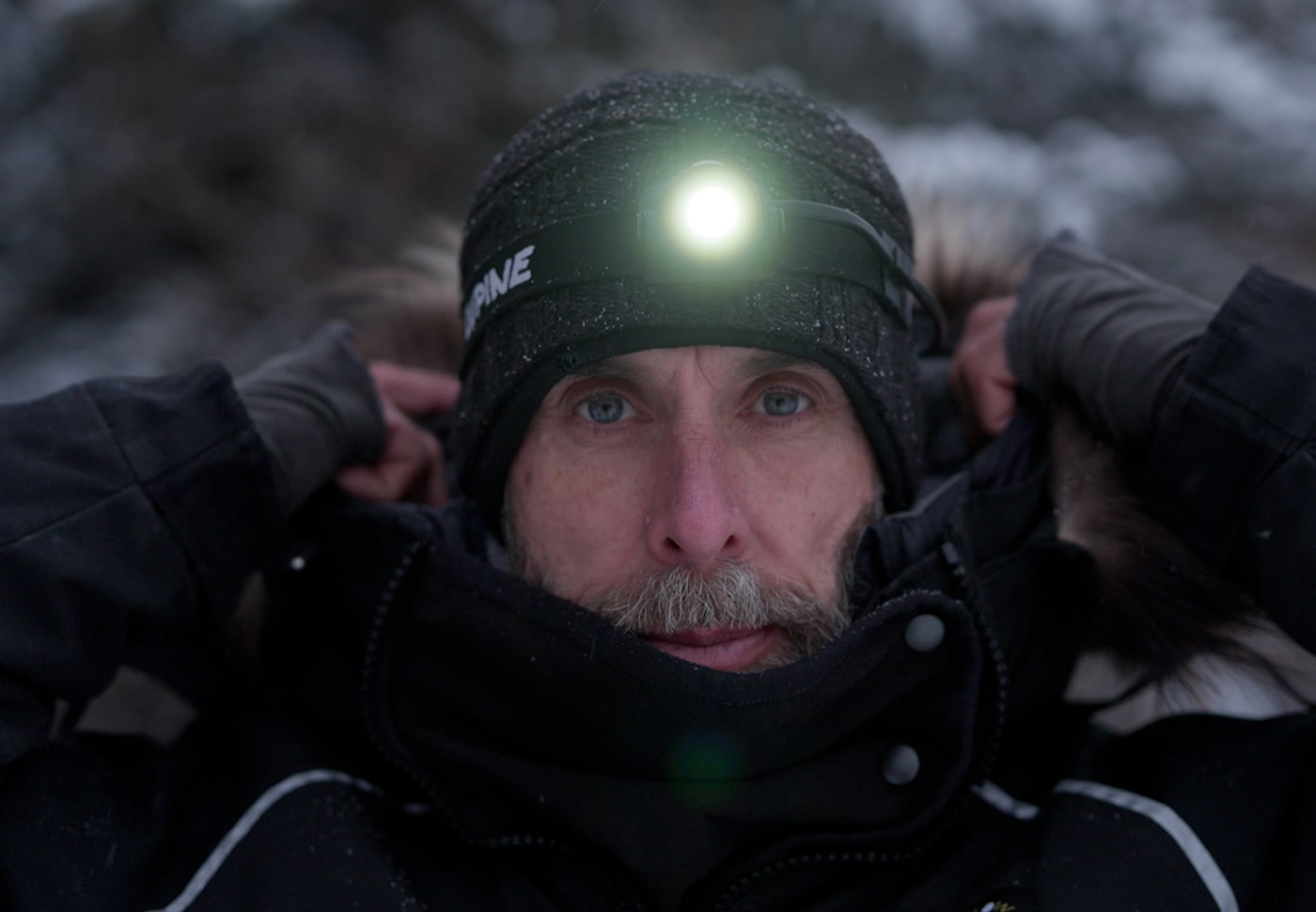 Musher, l’appel de l’Alaska