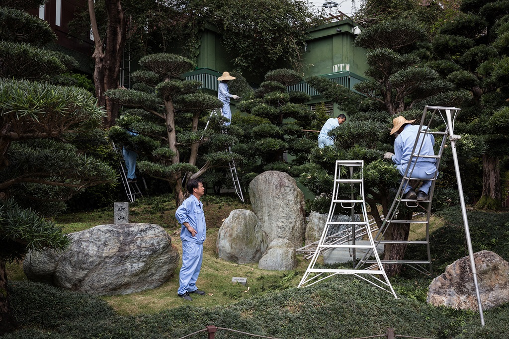 Des jardiniers à l'oeuvre sur des bonsaïs dans les jardins de Nan Lai.