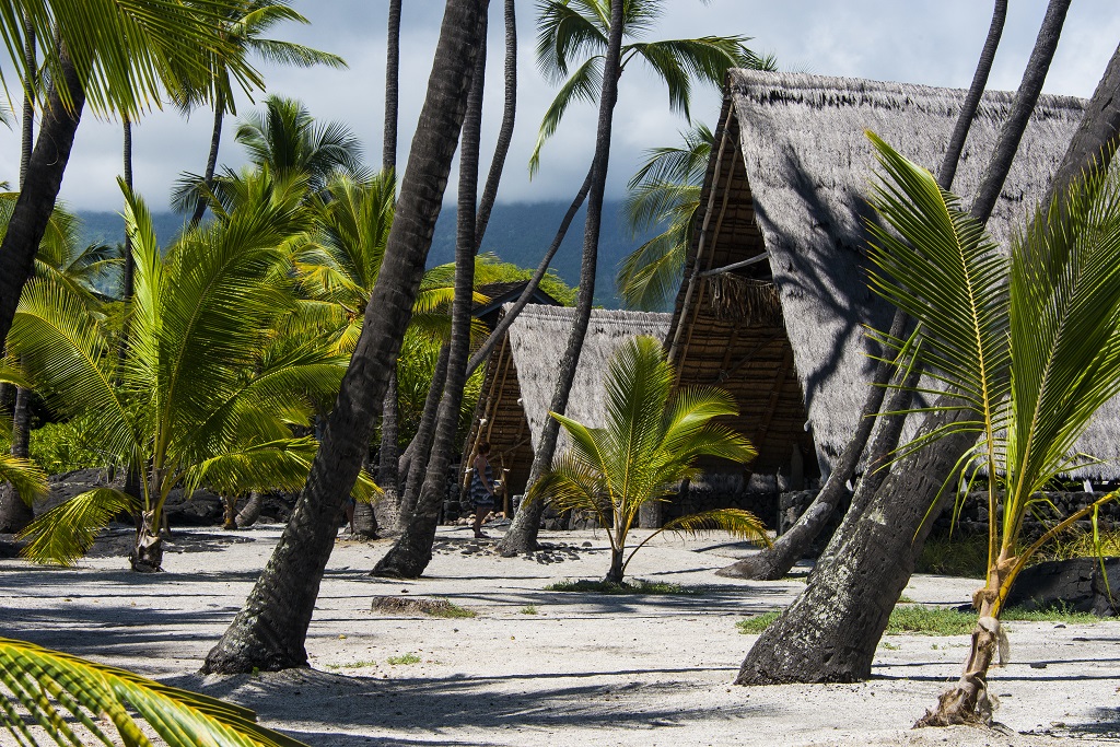 Refuge de Pu'uhonua rassemblait un sanctuaire irradiant le site de son mana, des maisons pour le chef et son entourage ainsi que des abris servant à l'intendance. - ©Solveig Placier