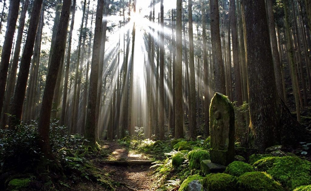 Kumano Kodo, Région de Wakayama - ©JNTO