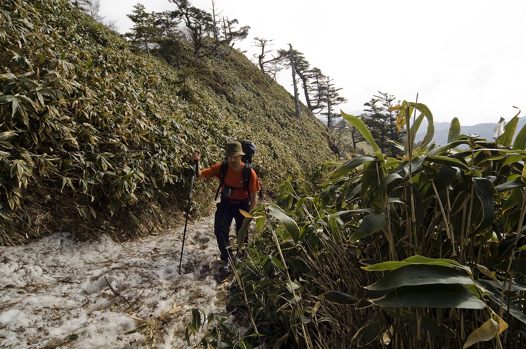 Randonnée vers le mont Ishizuchi (1982 m), Île de Shikoku