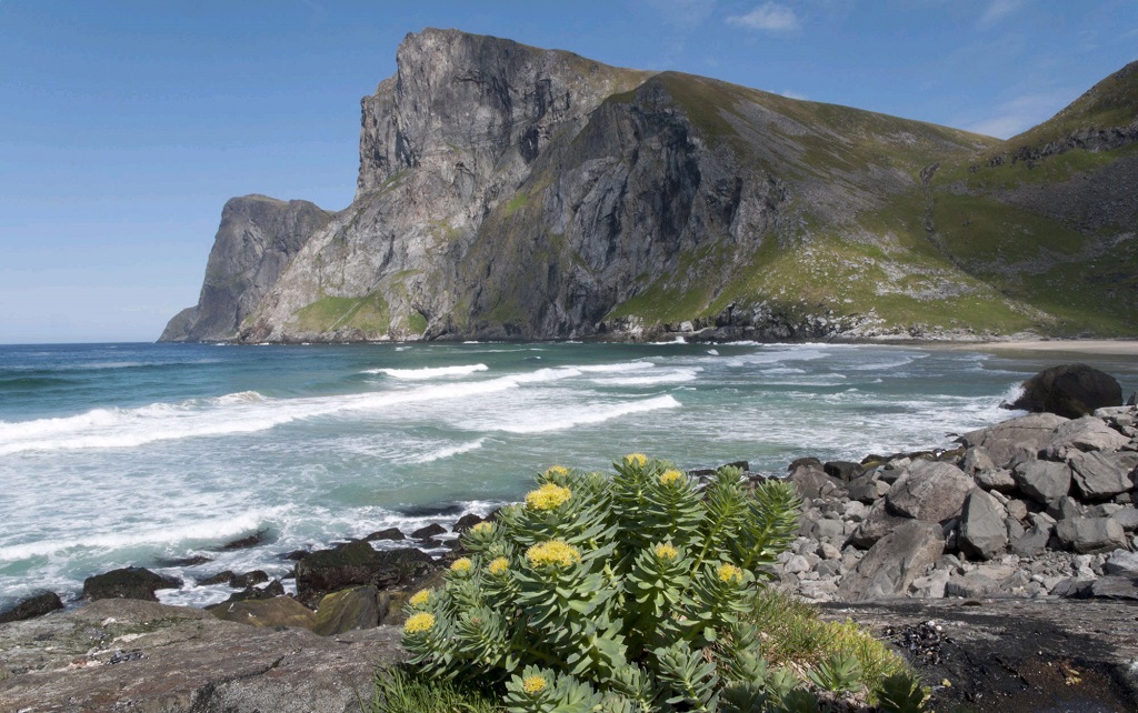 Archipel des îles Lofoten