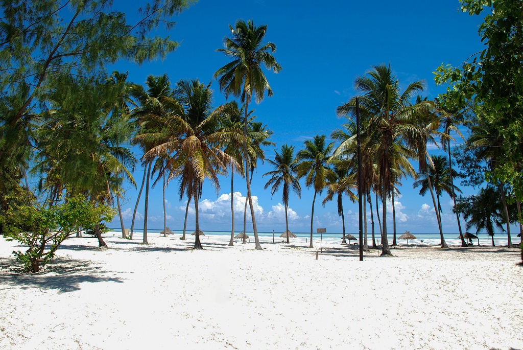 Plage près de Jambiani, à Zanzibar