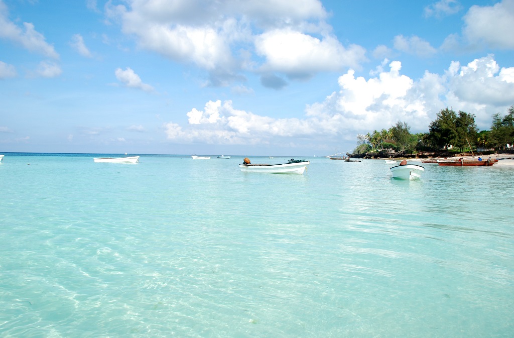 Plage près de Kizimkazi