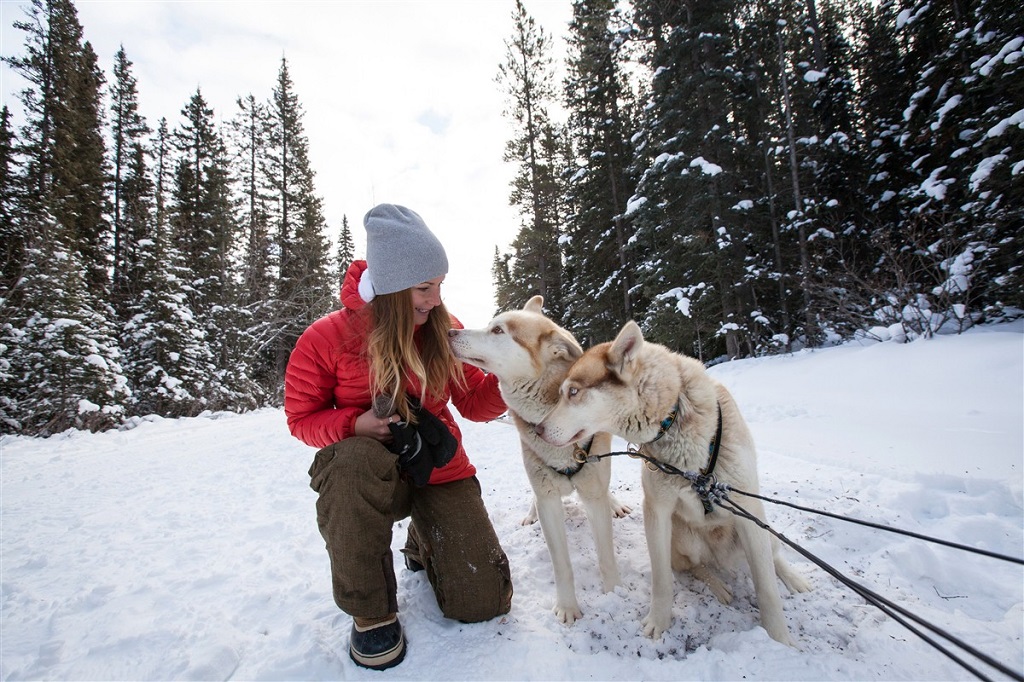 Moment partagé avec les chiens de traîneau - ©Canadian Tourism Commission